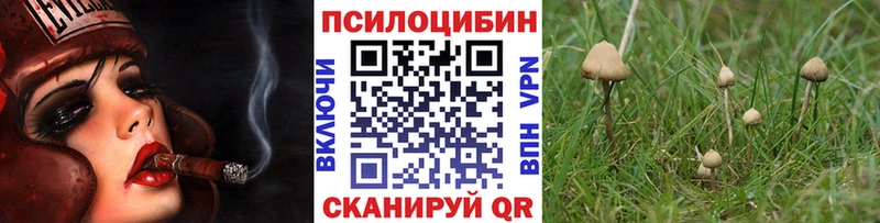 Псилоцибиновые грибы GOLDEN TEACHER  где найти   мега ТОР  Карабулак 
